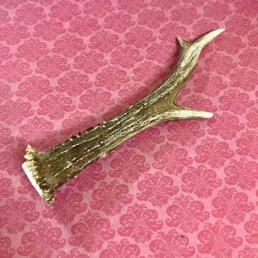 Horn of roe deer 