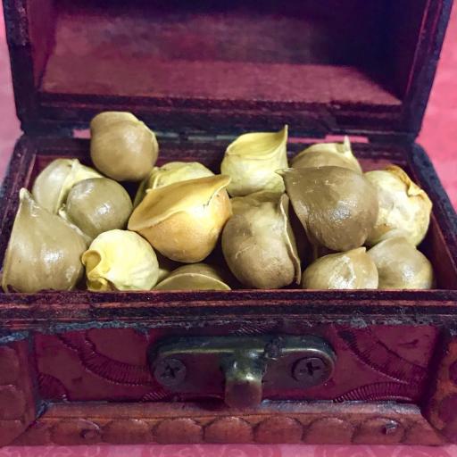 Male Garlic bag of 3 unit​