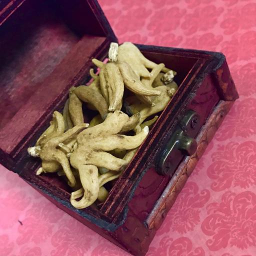 Root Hand of Fortune / Root Hand of Luck (1 unit) [1]