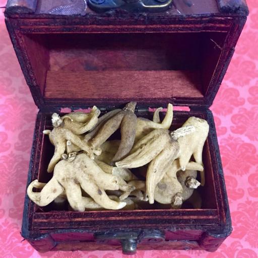 Root Hand of Fortune / Root Hand of Luck (1 unit)