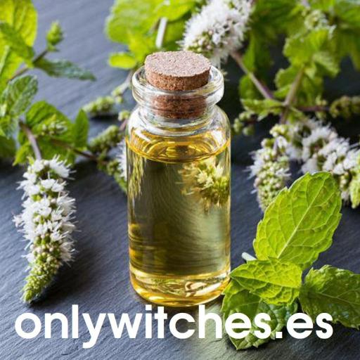 Salvia Sage - Aromatic Essence - Esencia Aromatica 15ml. 