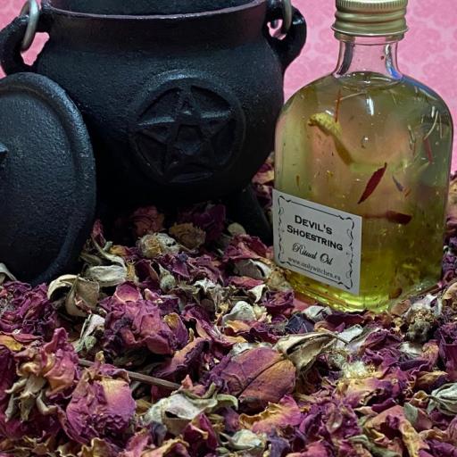Devil's Shoestring hoodoo oil ritual wicca spell 50ml