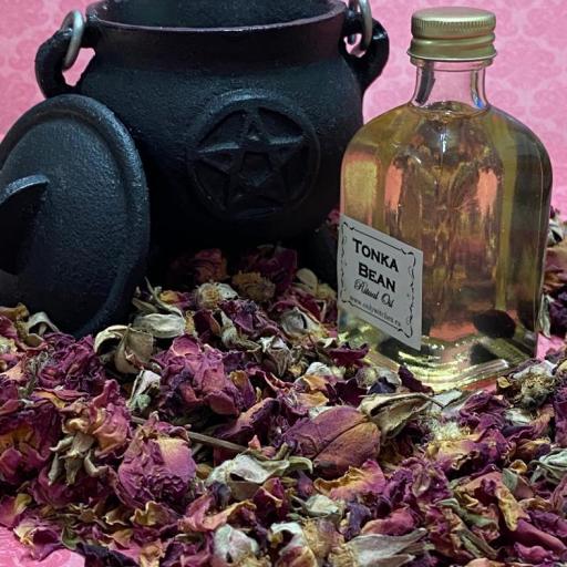Tonka Bean hoodoo oil ritual wicca spell 50ml