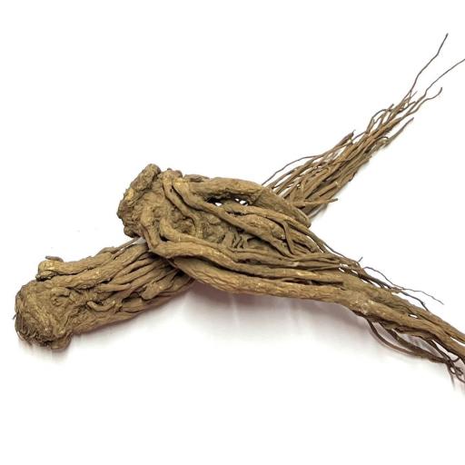 x 1 (Master Root) Raiz Maestra para Rituales, Hechizos, Hoodoo, Brujerias 