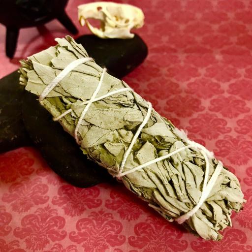 Smudge Sage White - Magic Herbs Sahumerio - Salvia Blanca Wicca Spell witchcraft