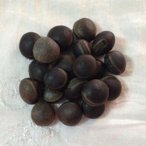 Seed Pepa Zamuro / Ojo De Buey - 