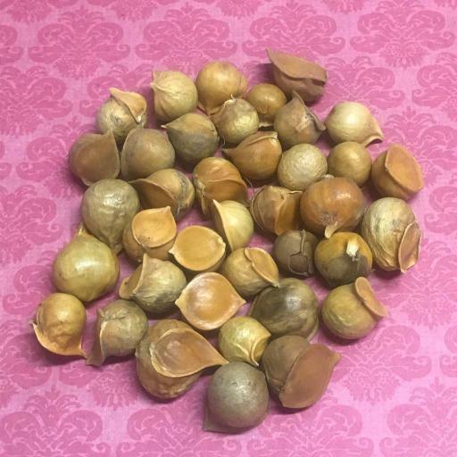 Garlic male bag of 50 units - Ajo Macho - Wicca Spell witchcraft 