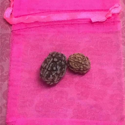   x2 Seeds for Love. Natural Amulet! - Amuleto del Amor x 2 semillas + bolsa