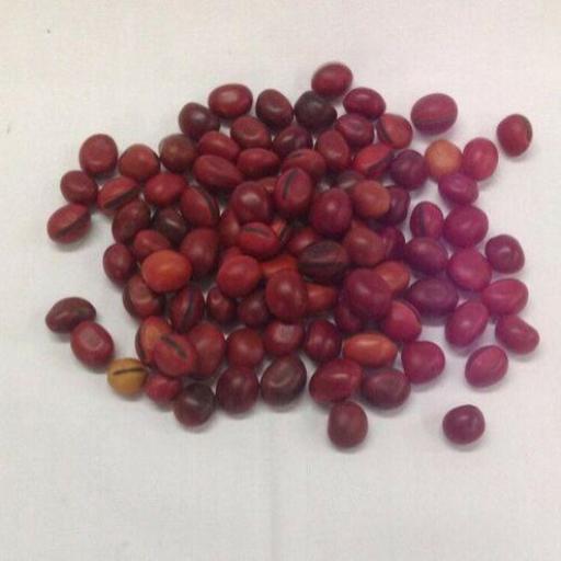 Seed Mate / Proteccion Mal De Ojo - 