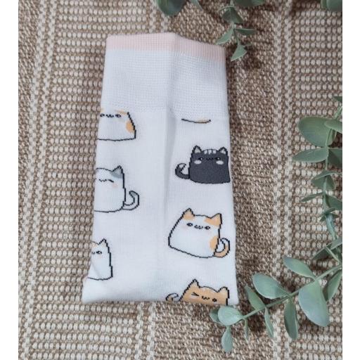 Calcetines gatos  [1]