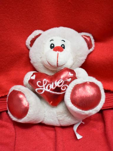 Peluche San Valentín: Tierno Osito con Corazón Bordado perfecto para regalar temu [2]