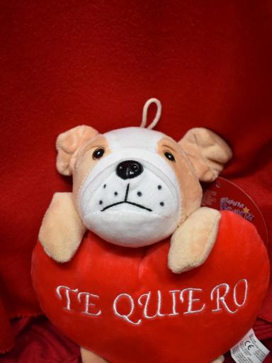 Regalos para San Valentín: Peluche de Perro con “Te Quiero” barato [1]