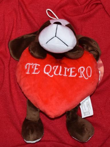 Peluche Romántico con Mensaje – Detalle Perfecto para Tu Pareja en San Valentín [3]