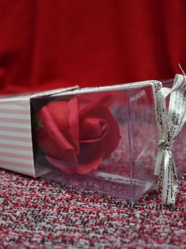 Rosa Eterna Perfumada – El Detalle Perfecto para Enamorar este 14 de Febrero