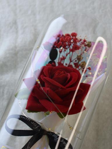 Rosa Eterna con Luces LED – Detalle Especial para el Día de los Enamorados [1]