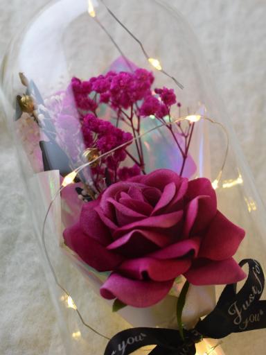 Cúpula de Cristal con Rosa Eterna y Luces – Amor para Siempre al mejor precio [3]