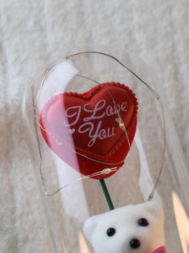 Osito de Peluche con Globo "I Love You" – Detalle Romántico en Cúpula de Cristal [1]