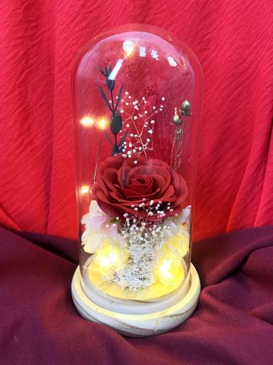 Cápsula de vidrio con rosa eterna roja y luz