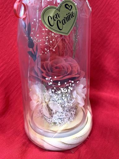 Pack regalo rosa eterna roja en cápsula de cristal [3]