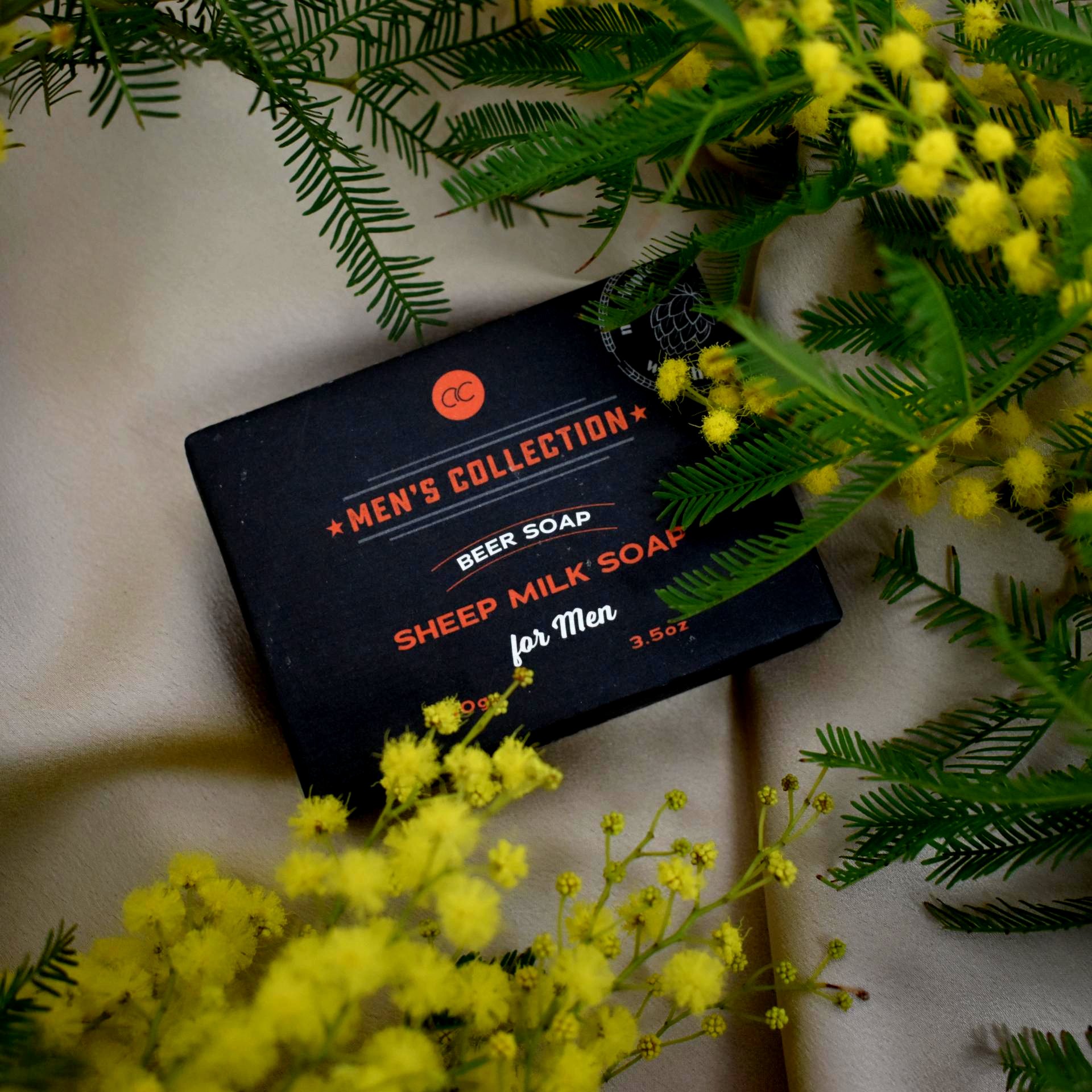 DSC_0079-1707143156 ok.jpg