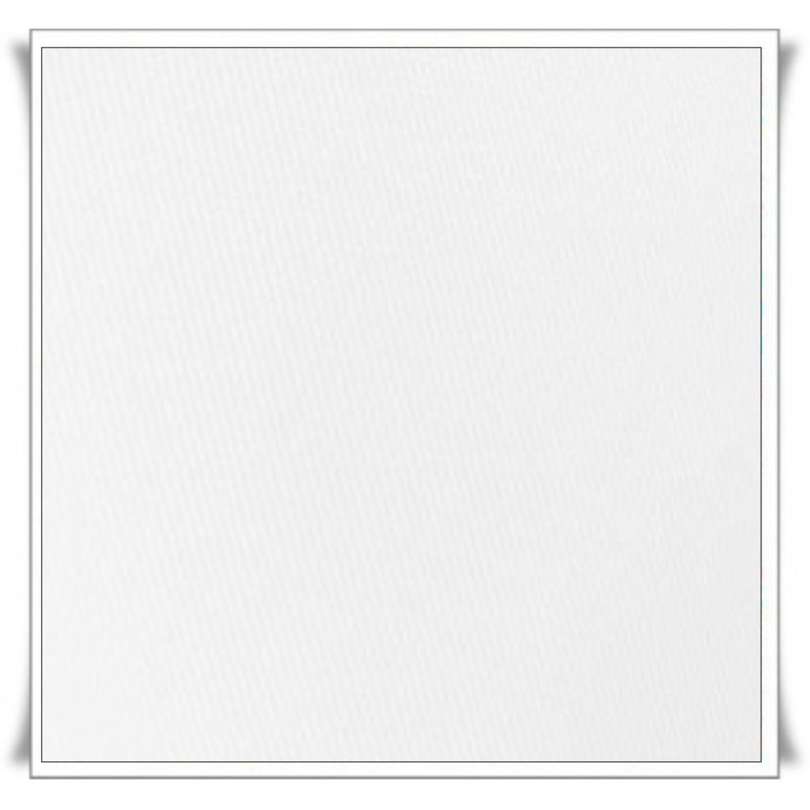 01 - TELA BLANCA.jpg