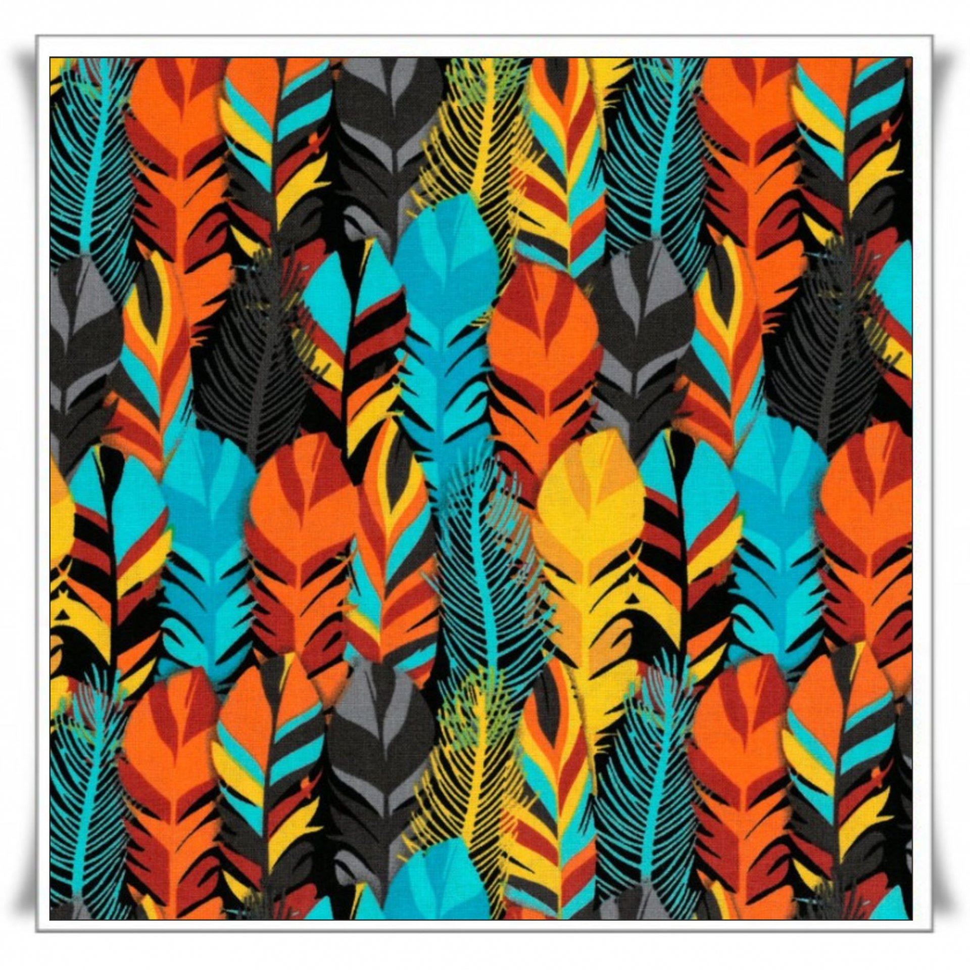 A110 - PLUMAS COLORES.jpg