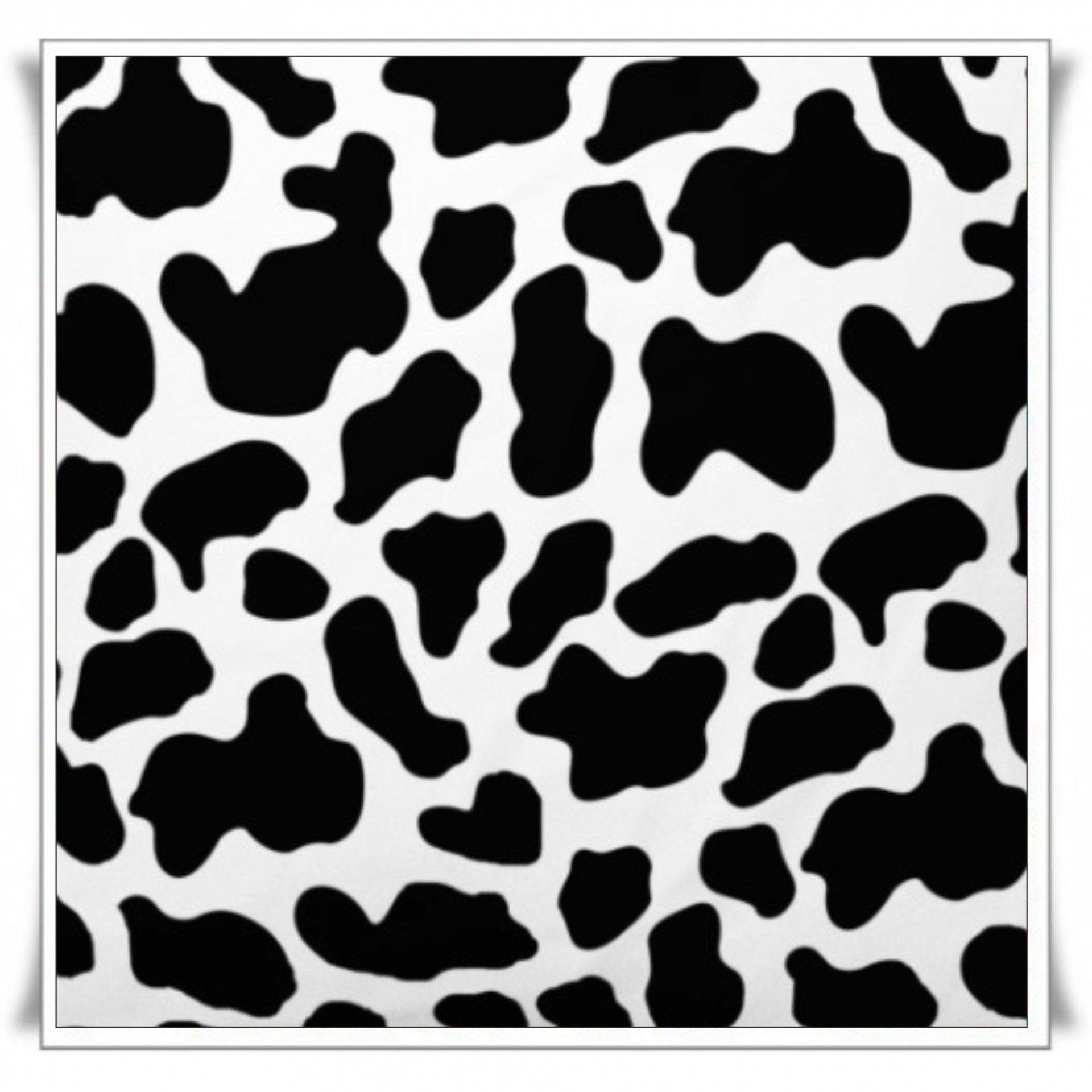 116 - VACA 02 (2).jpg