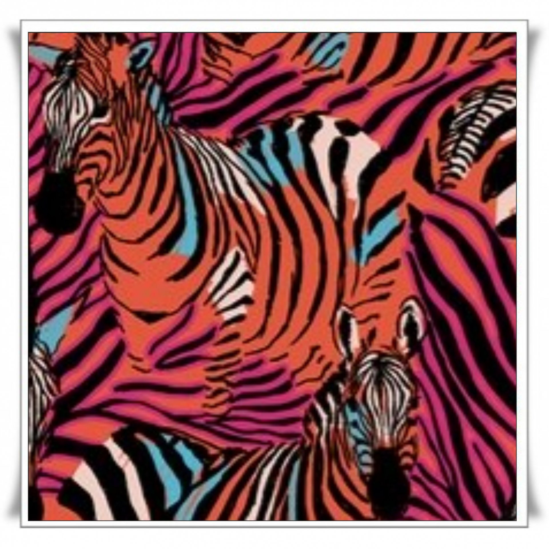 117 - CEBRAS FLÚOR (1).jpg