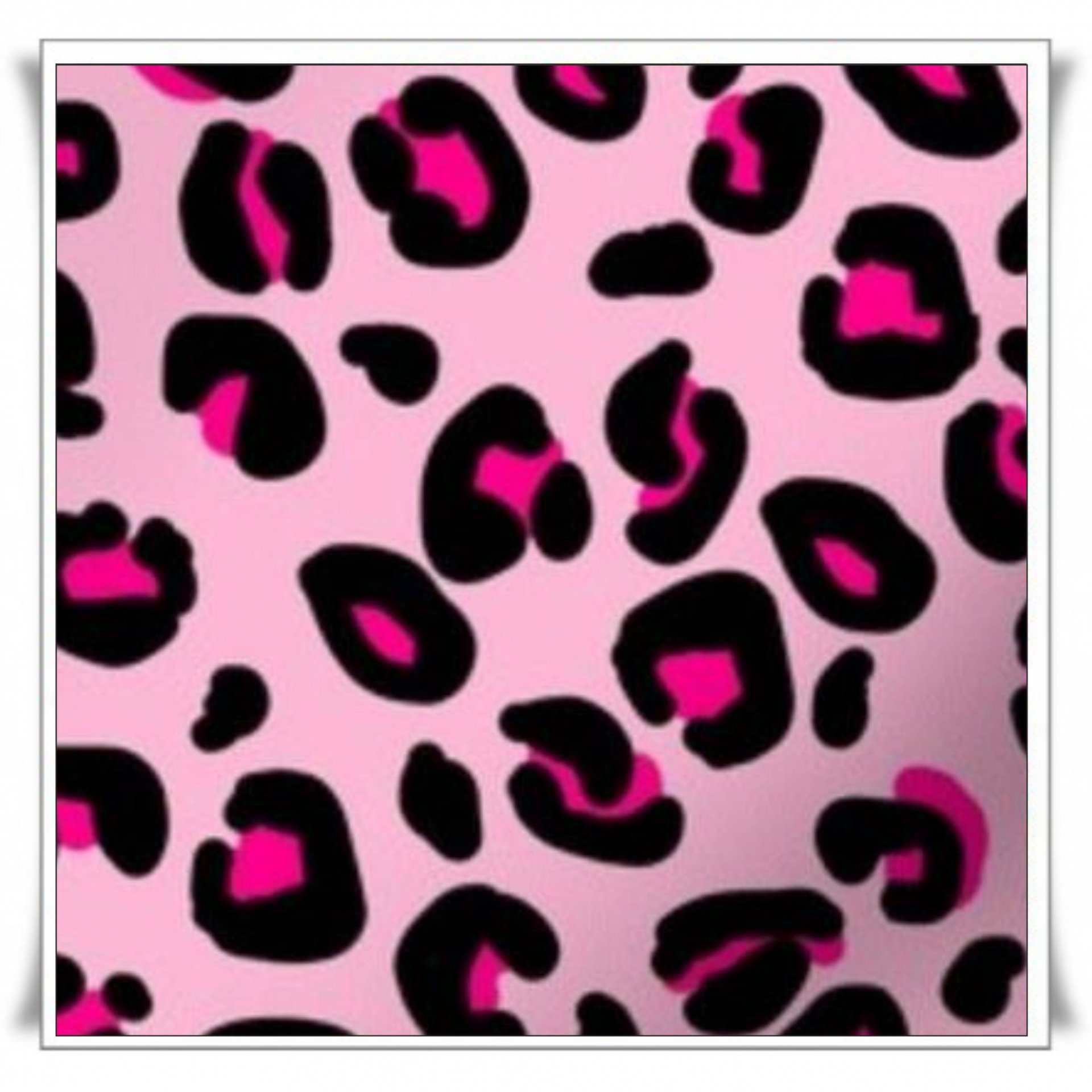 120 - LEOPARDO ROSA 2 (2).jpg