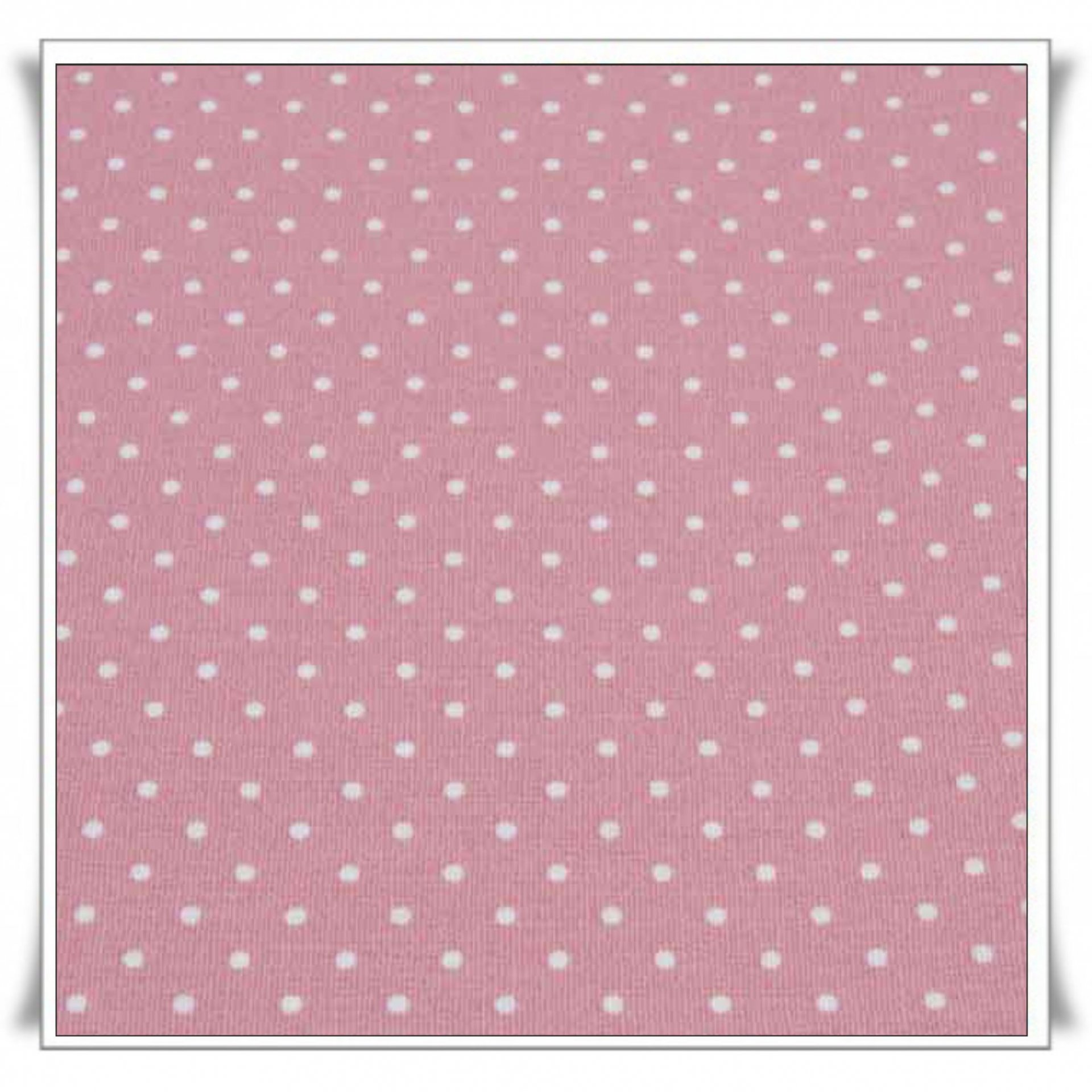 121 - TOPOS BLANCOS FONDO ROSA PALO (1).jpg