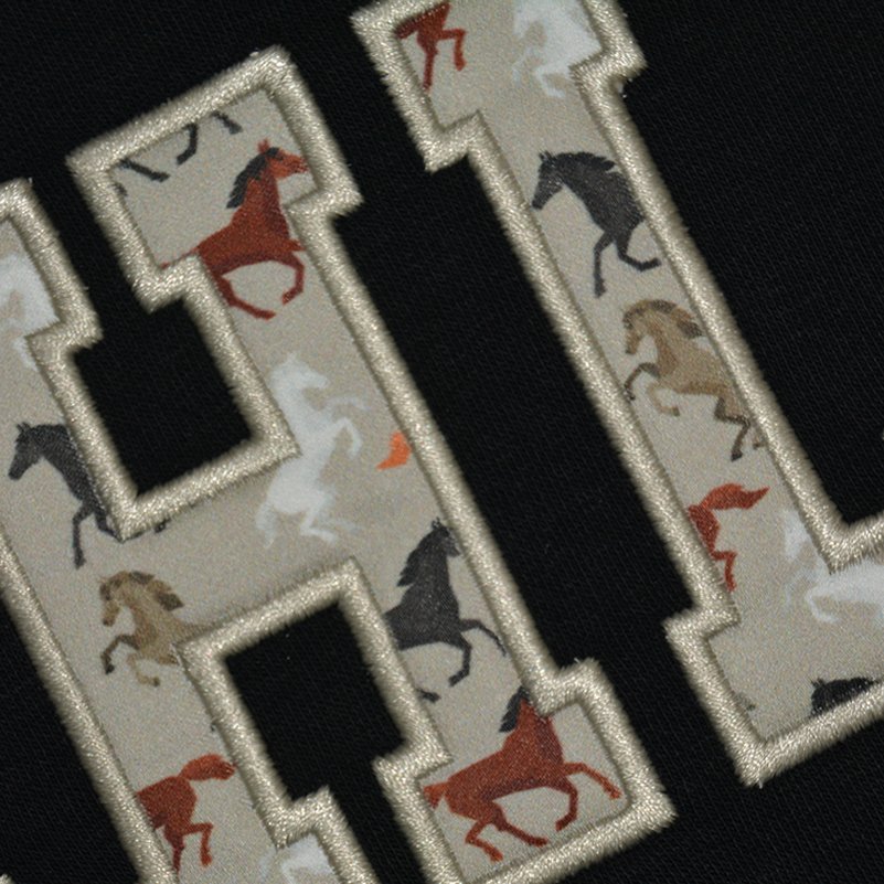 132 - CABALLOS MULTICOLOR.jpg