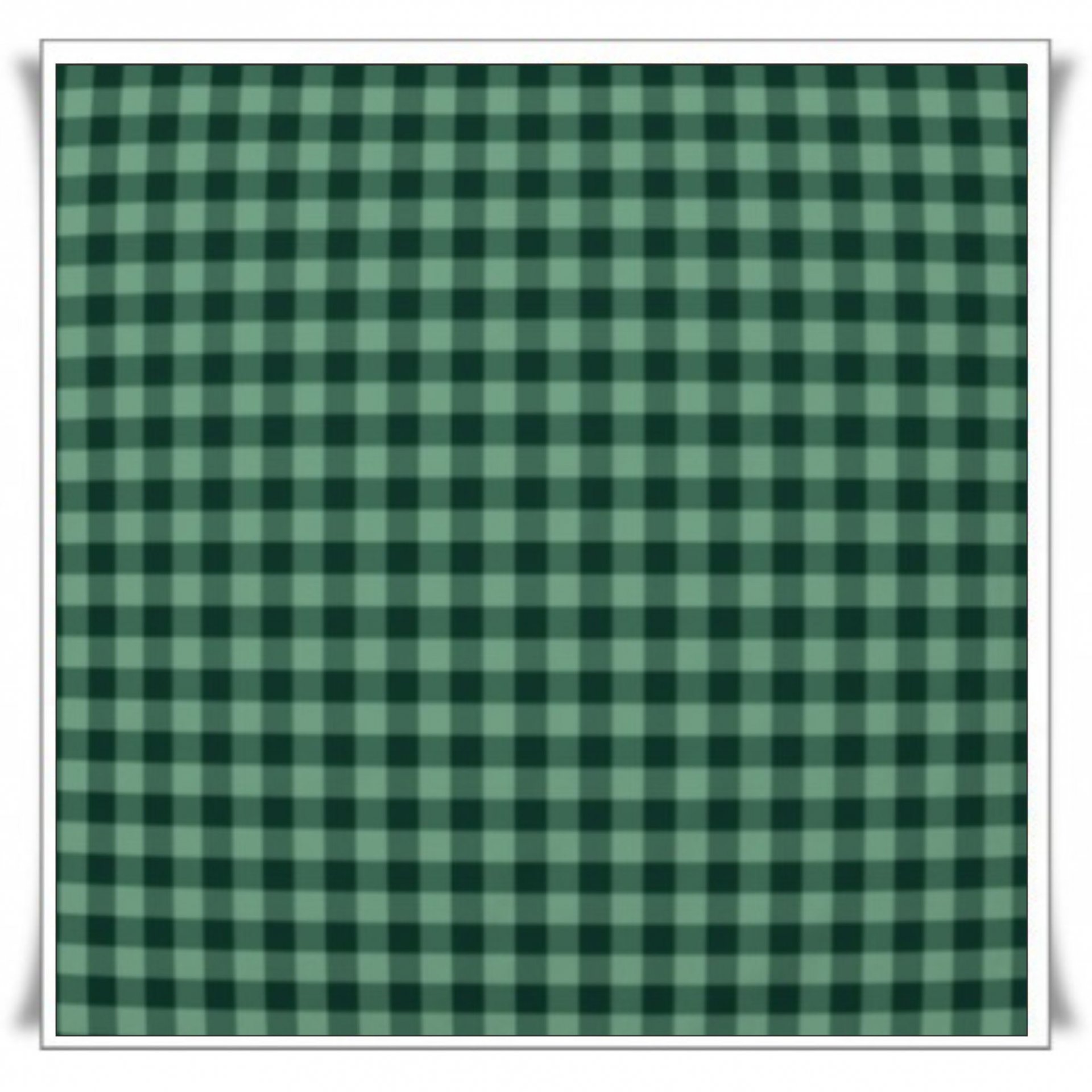 136 - CUADROS VERDE.jpg