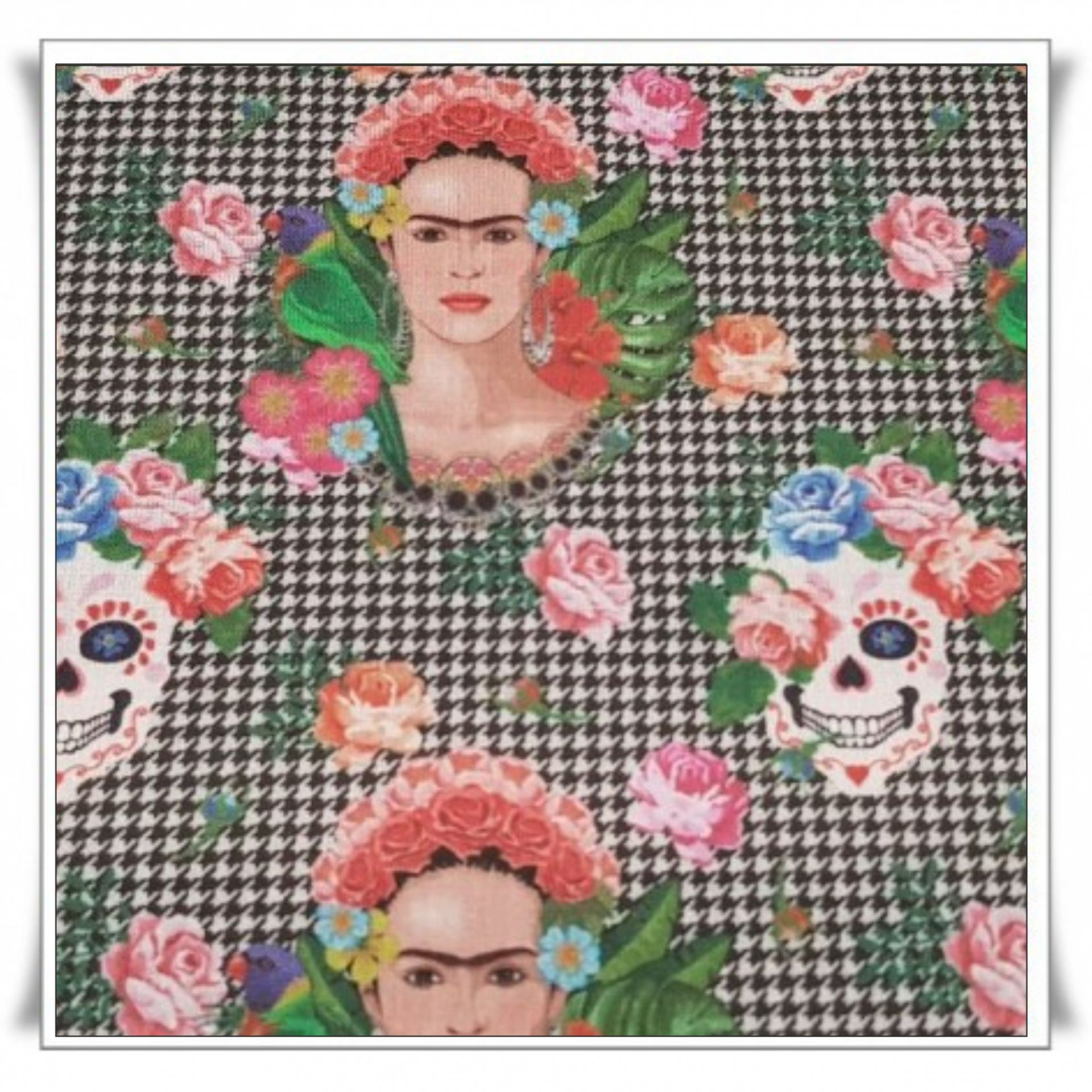 14 - FRIDA PATA DE GALLO (3).jpg