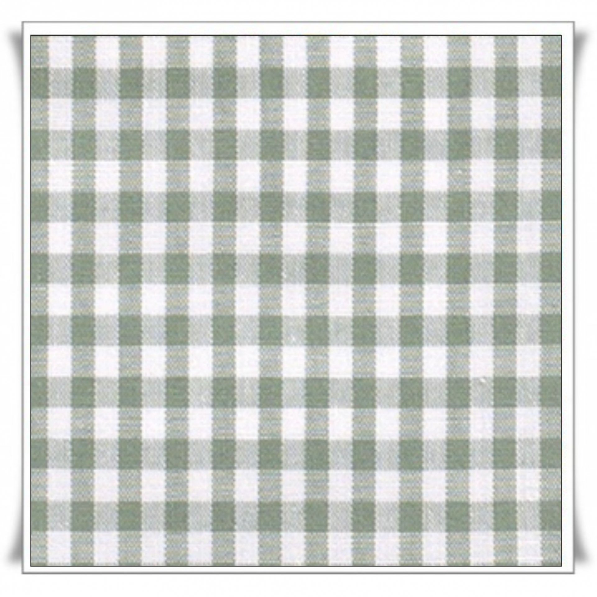 161 - VICHY MINT – 0,5 CM.jpg