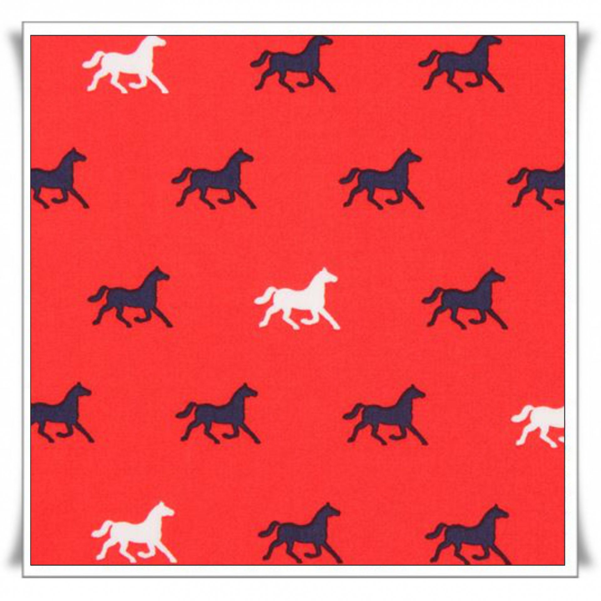 182 - CABALLOS (5).jpg