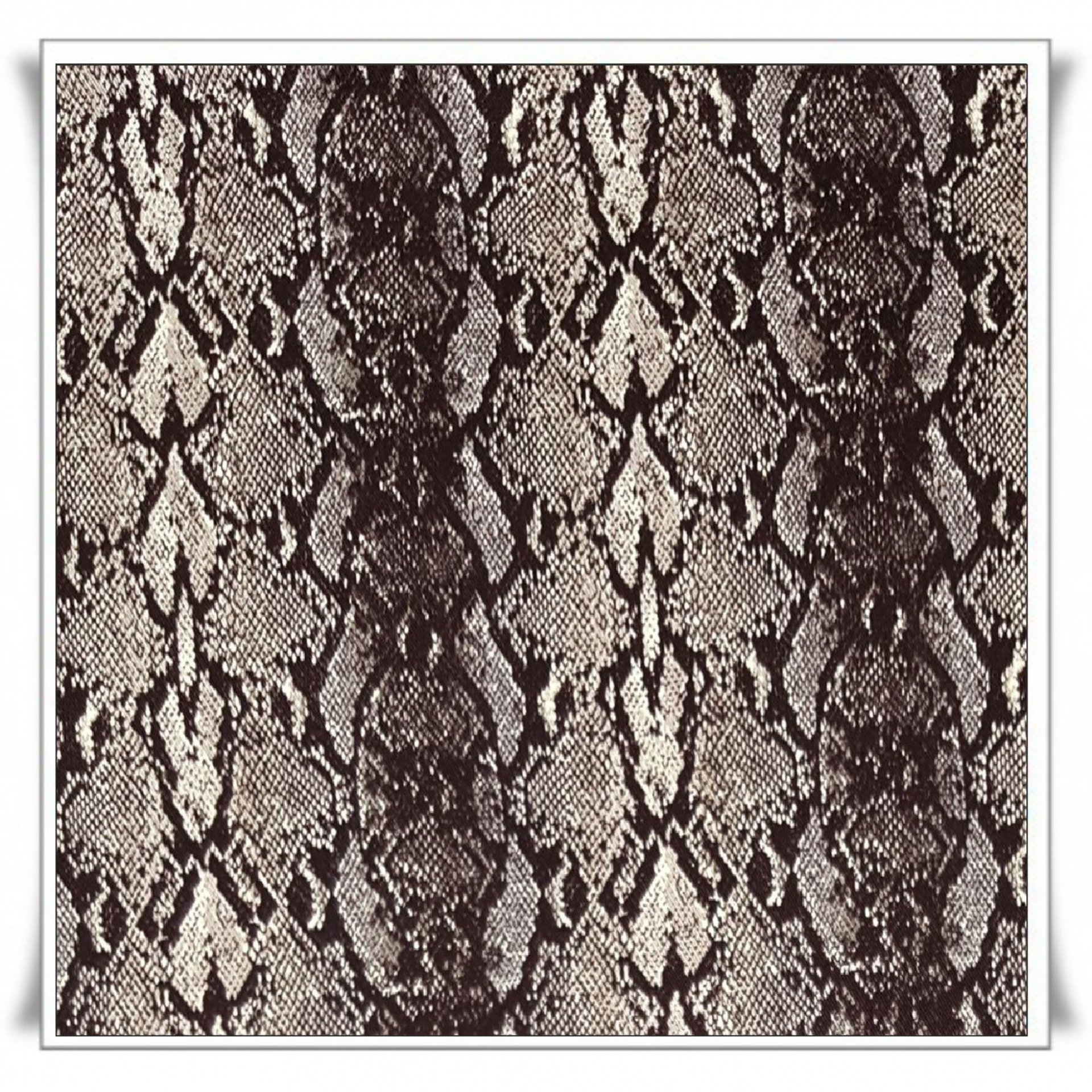 185 - PIEL DE SERPIENTE.jpg