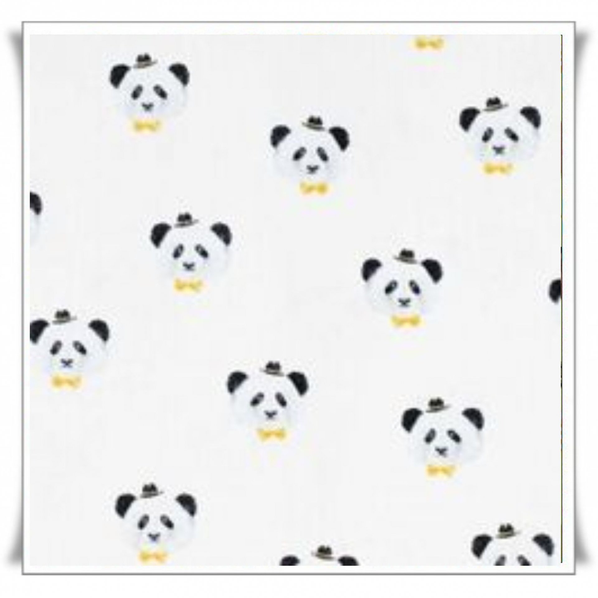 188 - OSOS PANDA.jpg