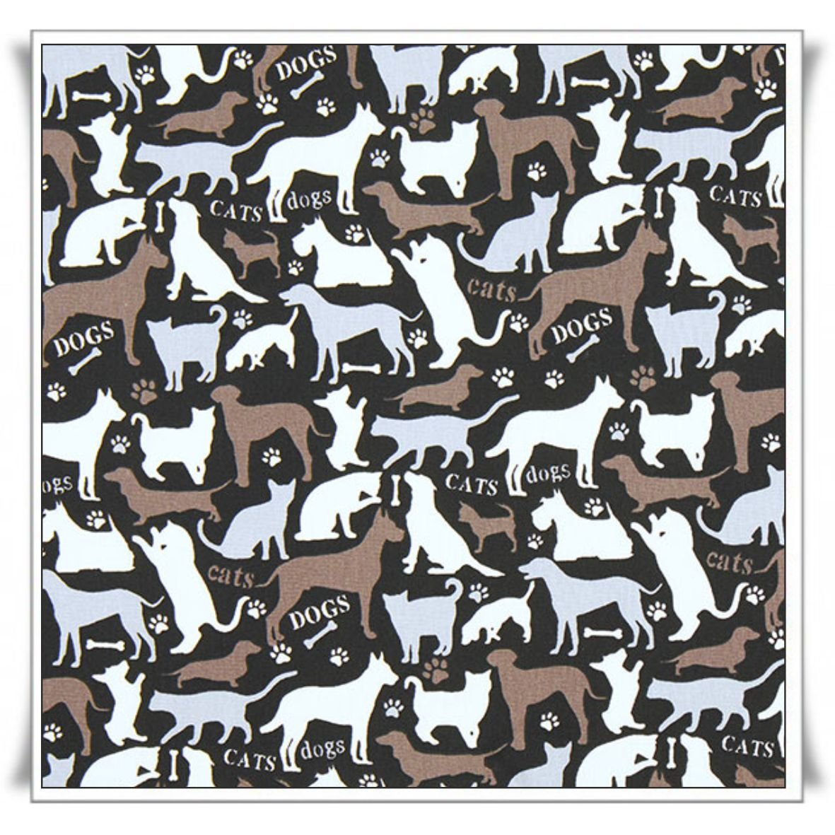 191 - DOGCAT (5).jpg