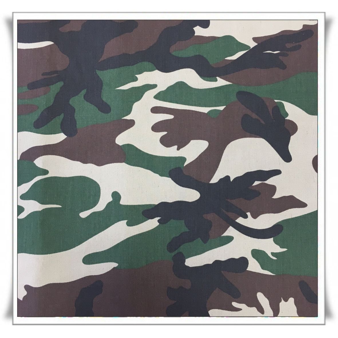 194 - CAMUFLAJE (3).jpg