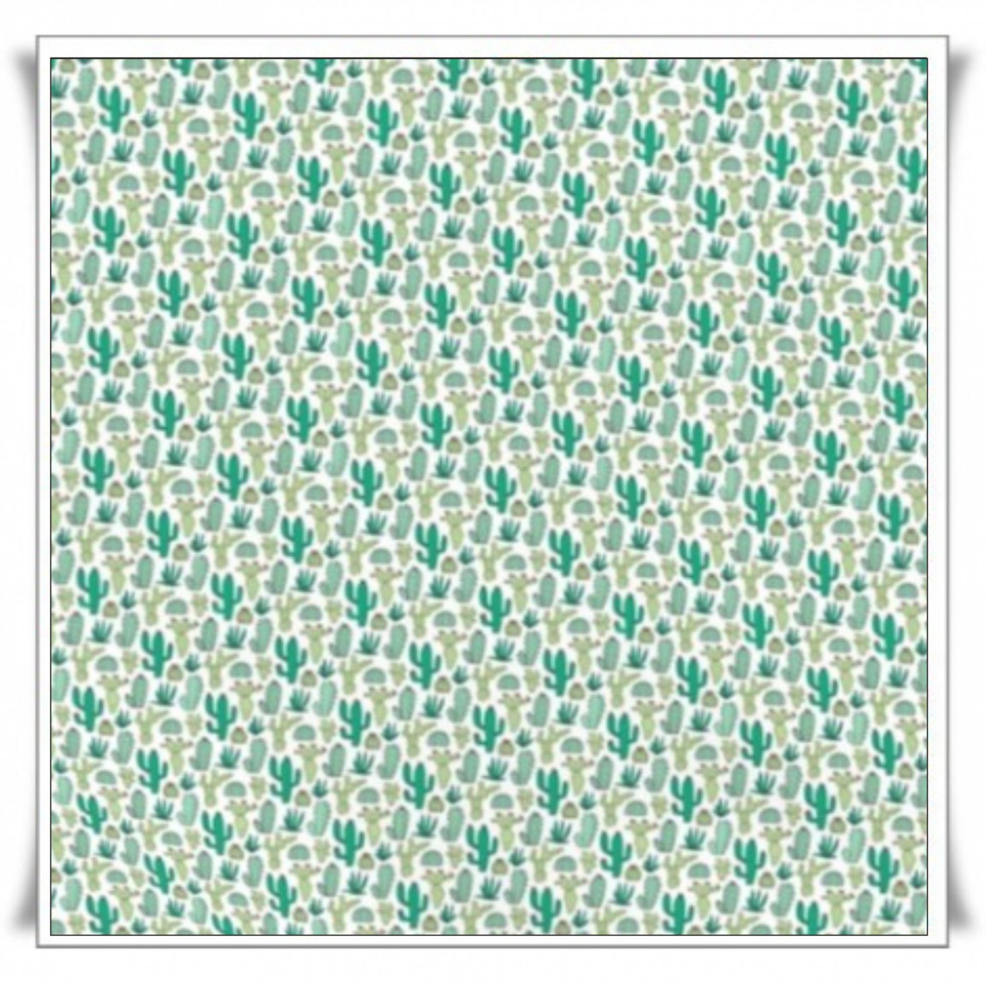 197 - CACTUS (3).jpg