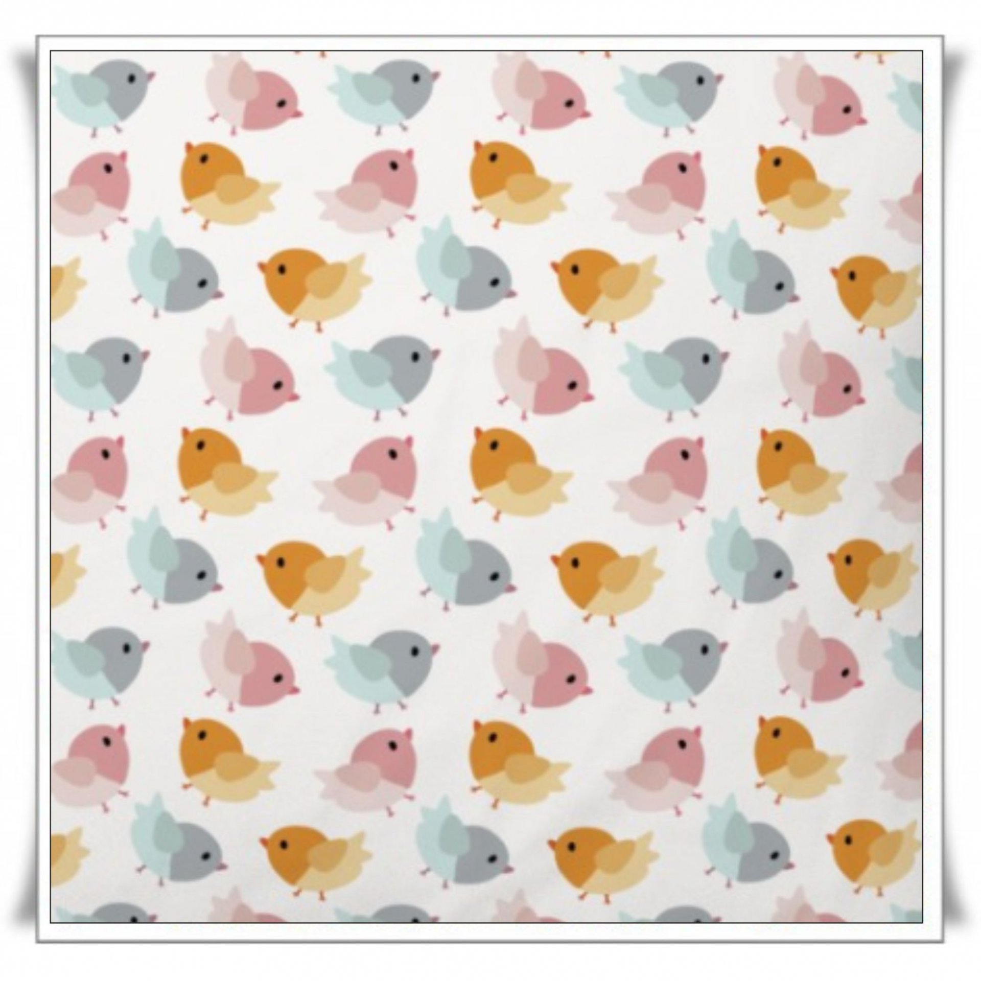 29 - PAJARITOS COLORES (1).jpg