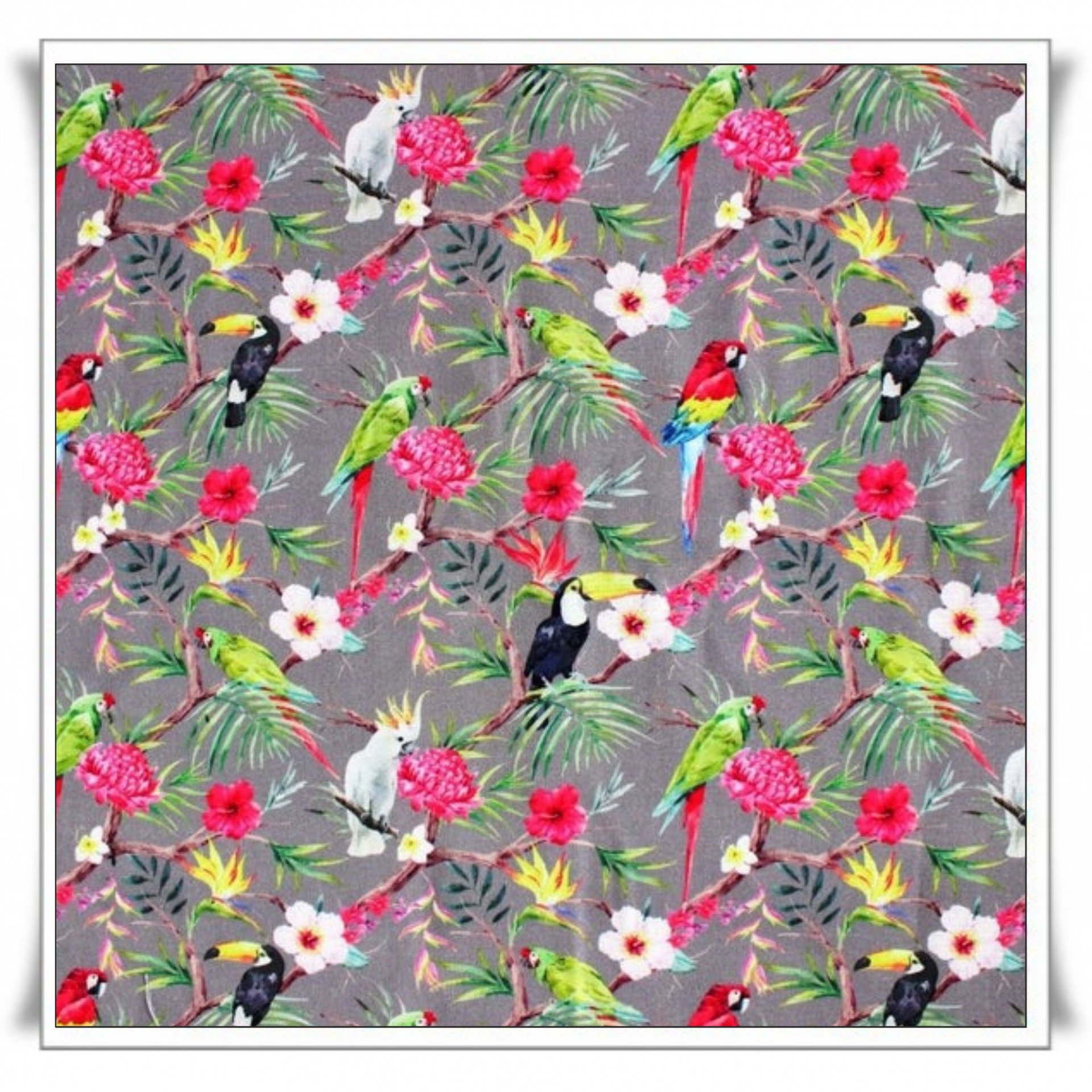 30- TROPICAL BIRDS.jpg