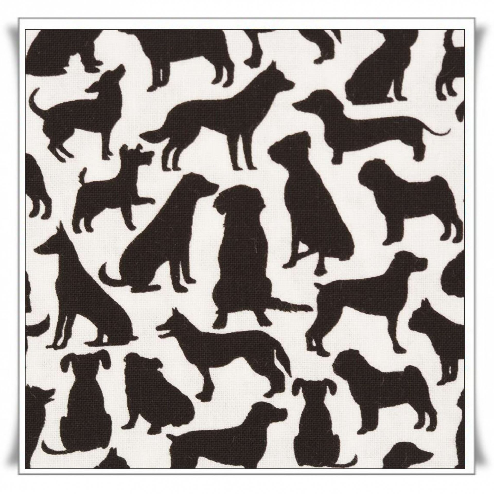 31 - TELA BLANCA DE PERROS NEGROS.jpg