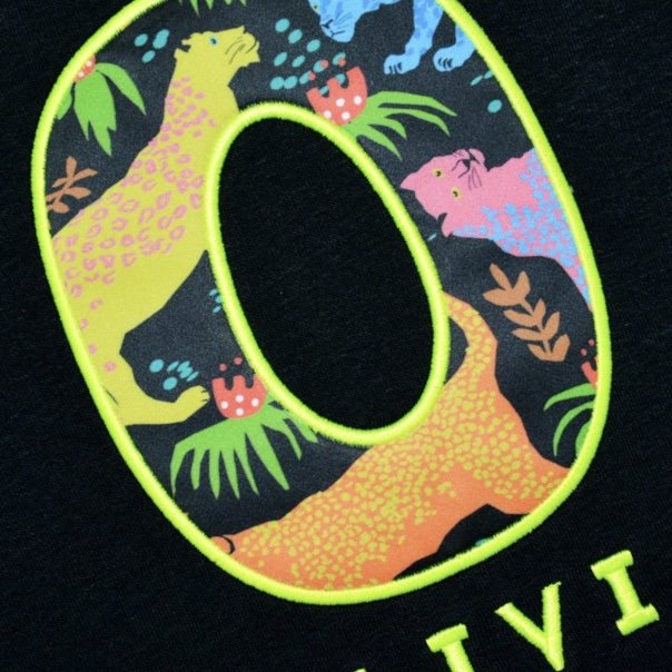 32-LEOPARDOS MULTICOLOR.jpg