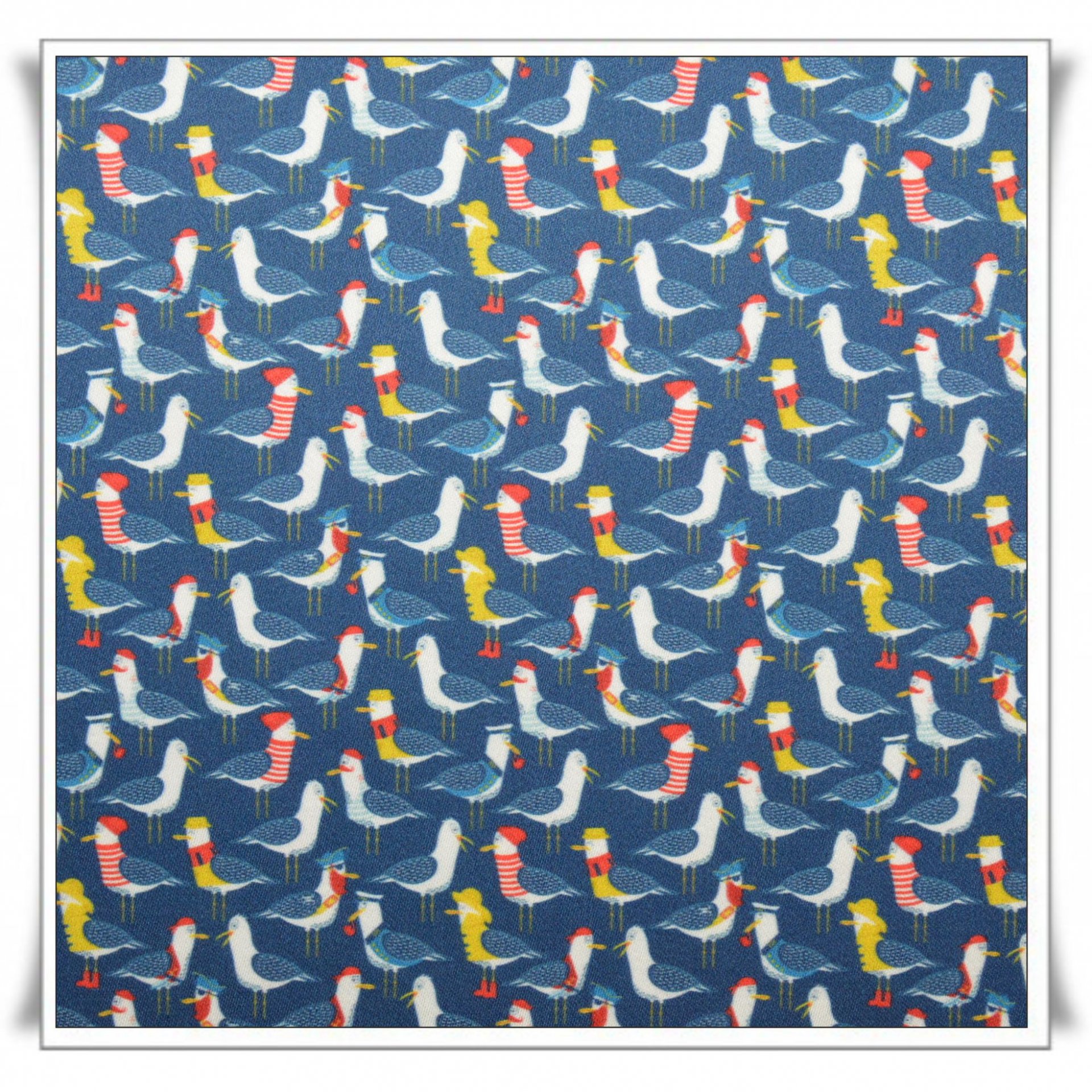 36 - GAVIOTAS 02 (2).jpg