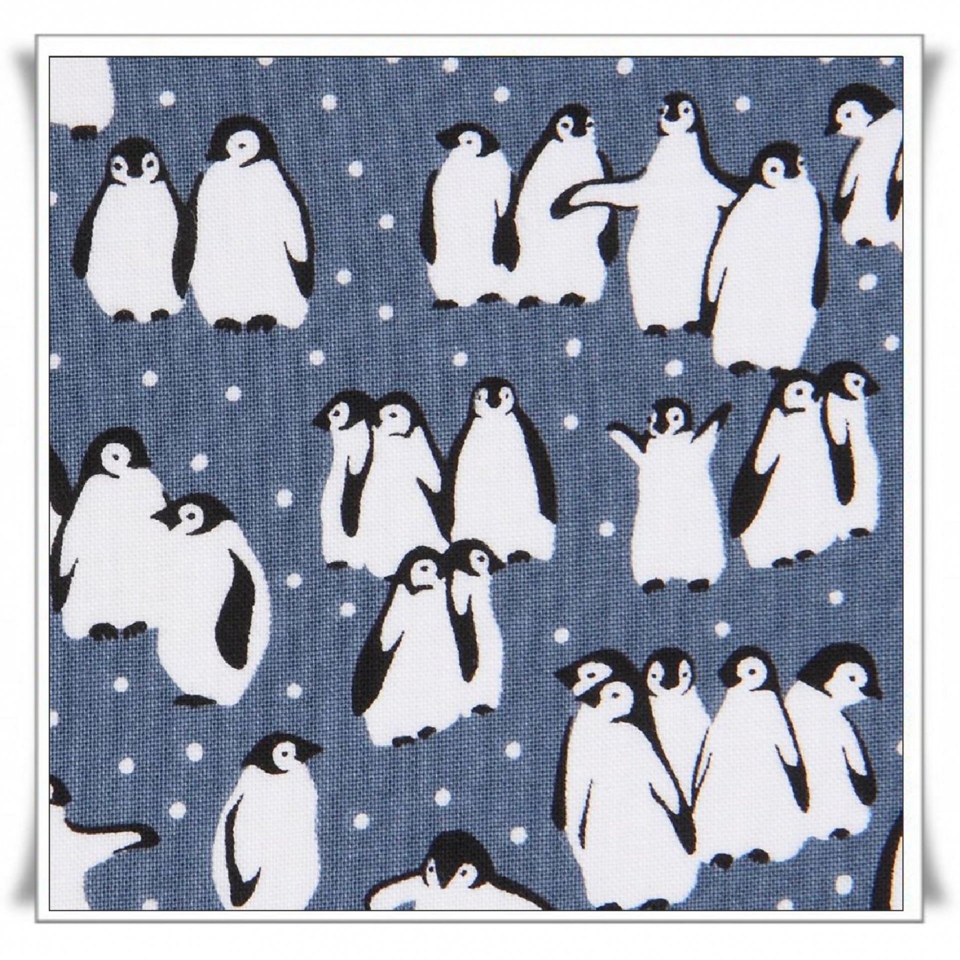 37 - PINGÜINOS (1).jpg