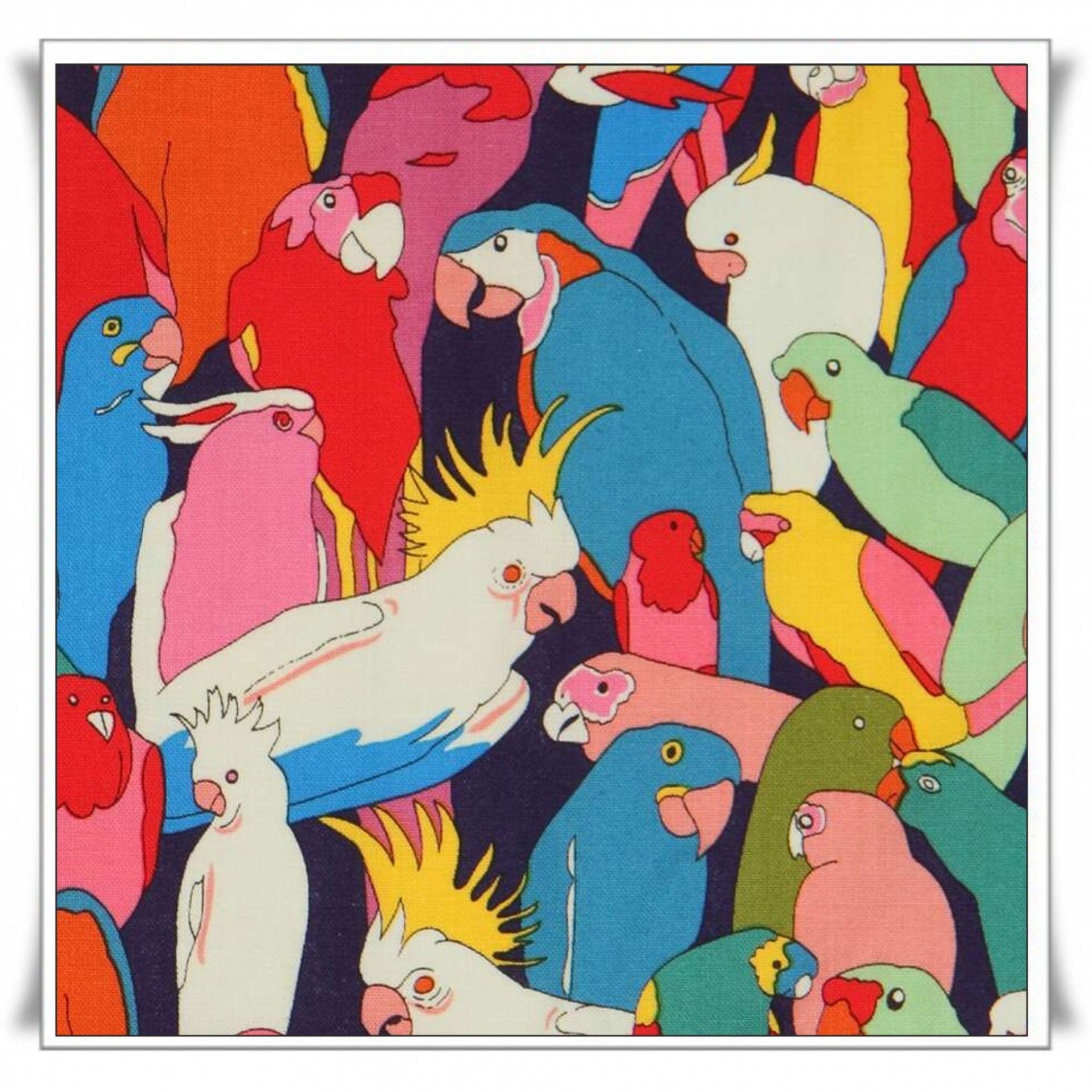 46 - CACATÚAS DE COLORES.jpg