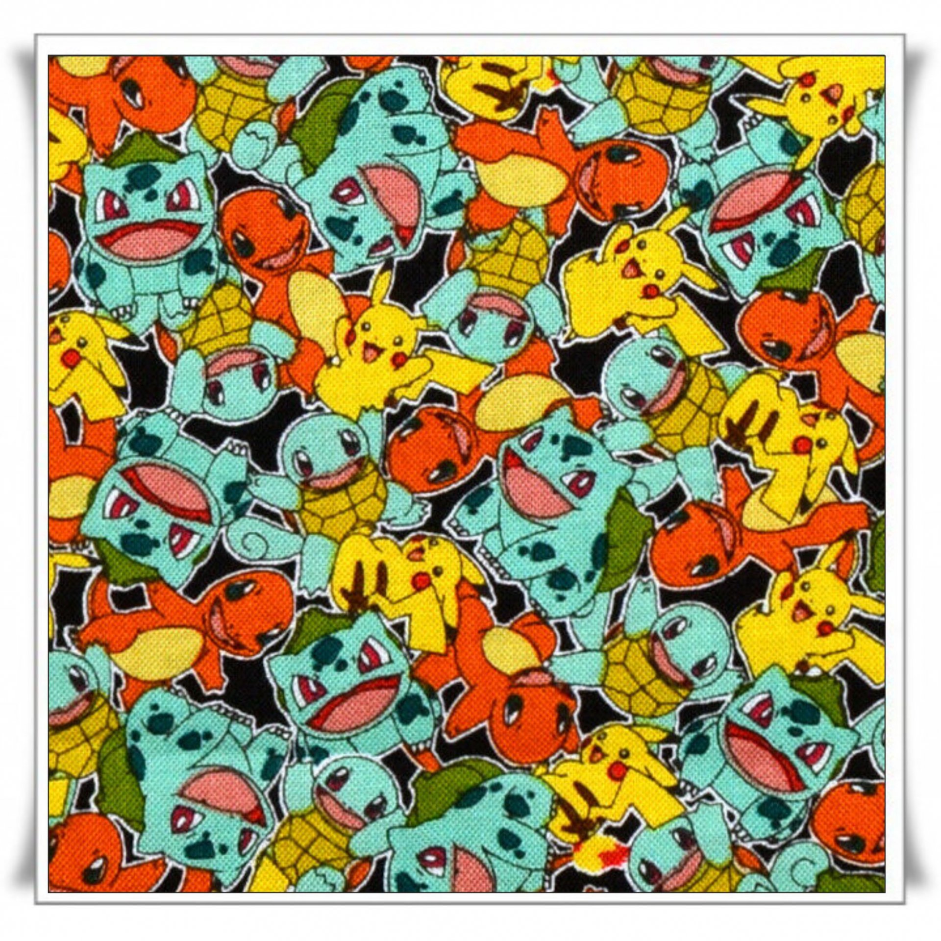 54 - POKEMON 2 (TEXTILFY) (2).jpg