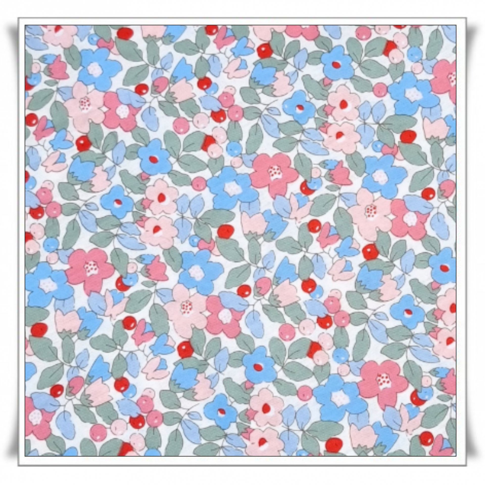 92 -FLOR ANYA FRAMBUESA 02 (2).jpg