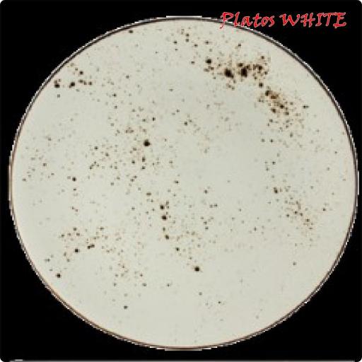 Vitro Porcelana WHITE [3]